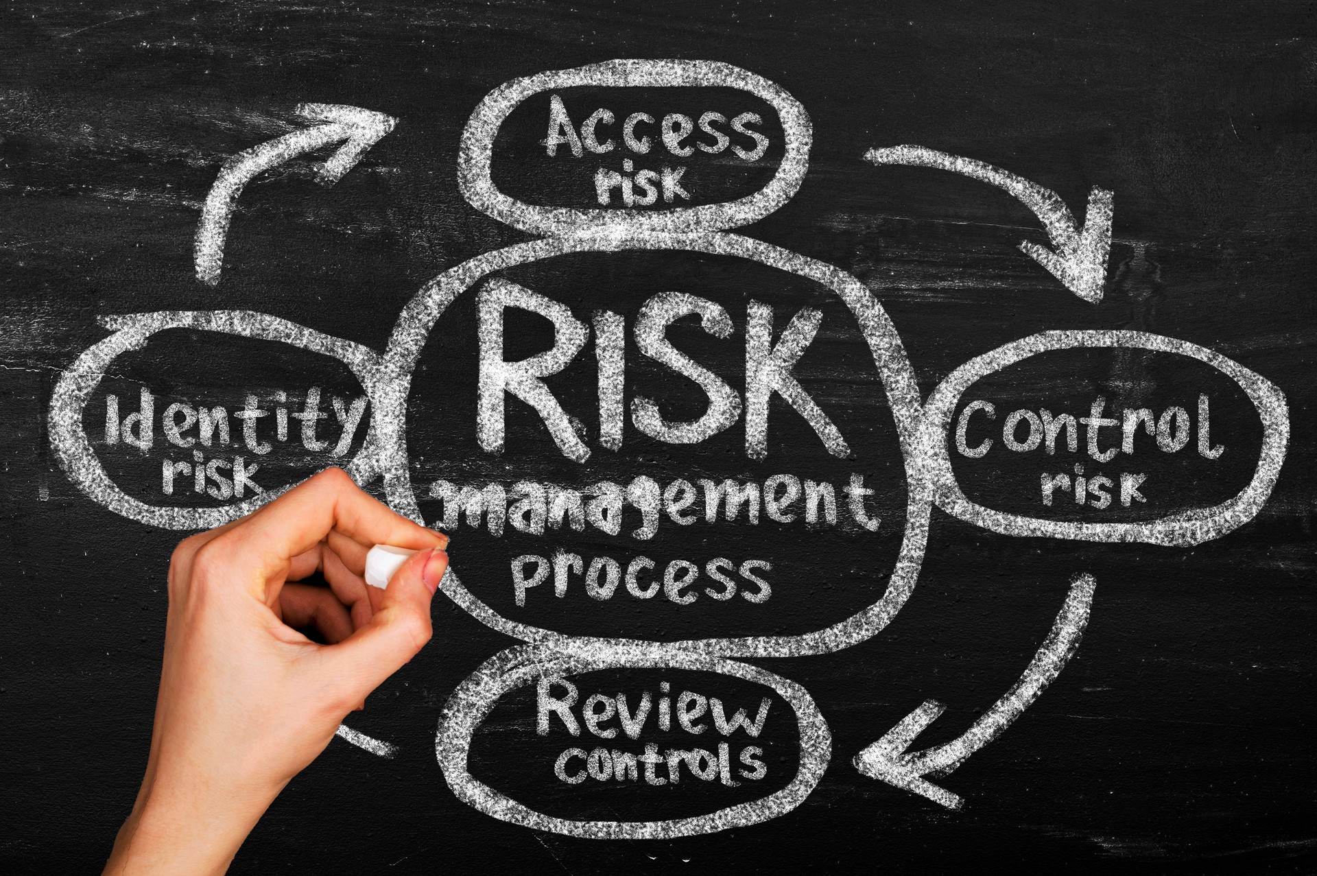 Risk management process